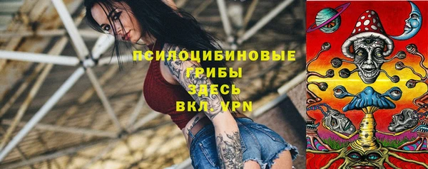 ECSTASY Козловка