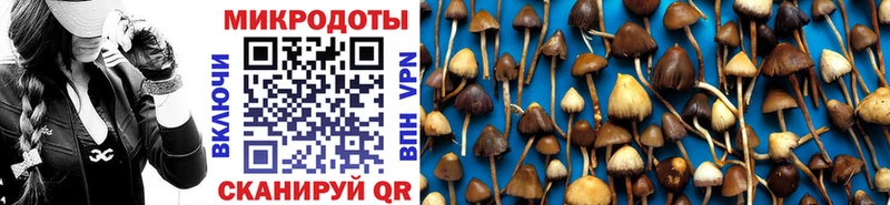 Галлюциногенные грибы мухоморы  Купить  Яровое 